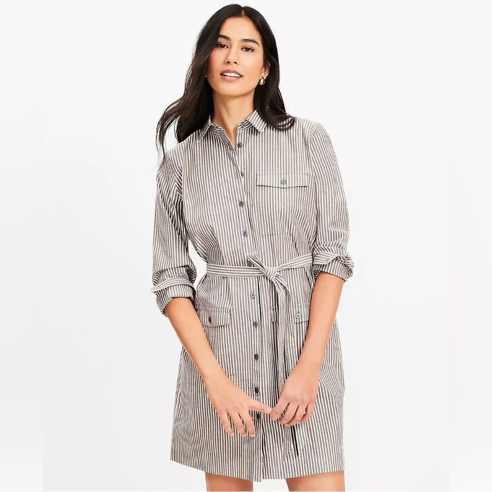 LOFT Stripe Belted Mini Pocket Button-Down Shirt Dress in Brown & Cream, size 2
